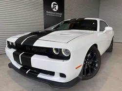 Weiß Gebraucht 2019 Dodge Challenger Coupé | 29.299 € (Fairer Preis)