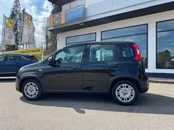Schwarz Neu 2025 Fiat Panda Kleinwagen | 15.390 €