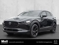 Beige Neu 2024 Mazda CX-30 Nagisa SUV | 30.890 €
