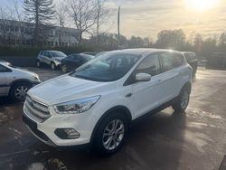 Weiß Gebraucht 2019 Ford Kuga Titanium SUV | 10.900 € (Superpreis)