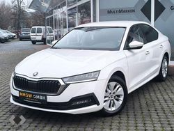 Weiß Gebraucht 2023 Skoda Octavia Ambition Limousine | 21.990 € (Guter Preis)