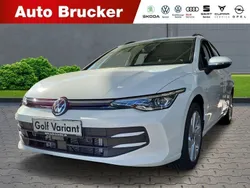Weiss Gebraucht 2024 VW Golf VIII Life Kombi | 23.940 € (Guter Preis)