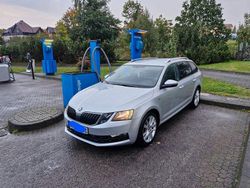 Silber Gebraucht 2017 Skoda Octavia Drive Kombi | 11.900 € (Superpreis)