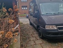 Rot Gebraucht 2004 Fiat Ducato Van | 1.300 €