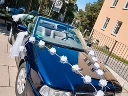 Blau Gebraucht 1998 Audi 80 Cabrio | 5.350 € (Guter Preis)