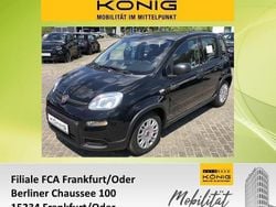 Cinema schwarz Gebraucht 2024 Fiat Grande Panda Kleinwagen | 12.997 € (Guter Preis)