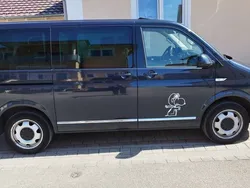 Blau Gebraucht 2016 VW T6 Highline Van | 25.990 € (Fairer Preis)