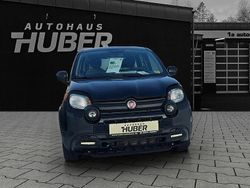 Schwarz Gebraucht 2023 Fiat Panda Kleinwagen | 12.999 € (Fairer Preis)