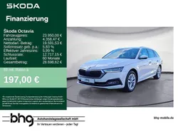 Weiß Gebraucht 2023 Skoda Octavia Style Kombi | 23.950 € (Fairer Preis)