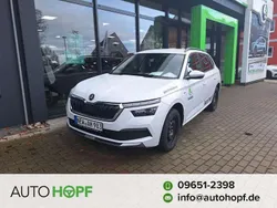 Moonweiß perleffekt Neu 2024 Skoda Kamiq Tour SUV | 30.900 € (Etwas zu teuer)