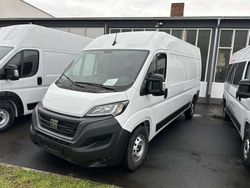 Weiß Gebraucht 2023 Fiat Ducato Van | 49.999 €
