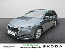 Andere farbe Gebraucht 2024 Skoda Octavia Style Kombi | 34.900 € (Etwas zu teuer)