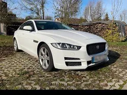 Weiß Gebraucht 2016 Jaguar XE Portfolio Limousine | 9.250 € (Fairer Preis)