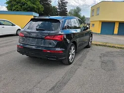 Schwarz Gebraucht 2025 Audi SQ5 Comfort SUV | 40.000 €