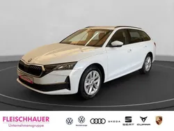 Weiss Gebraucht 2024 Skoda Octavia Selection Kombi | 29.490 € (Superpreis)
