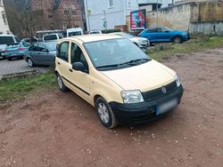 Gelb Gebraucht 2010 Fiat Panda Kleinwagen | 2.100 € (Guter Preis)