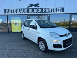 Weiß Gebraucht 2021 Fiat Panda Kleinwagen | 9.380 € (Guter Preis)