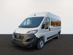 Eisweiß Gebraucht 2024 Fiat Ducato Van | 48.790 €