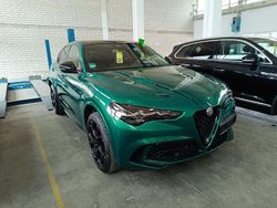 Verde montreal green Gebraucht 2024 Alfa Romeo Stelvio Quadrifoglio SUV | 75.985 €