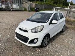Gebraucht 2013 Kia Picanto Edition 7 Kleinwagen | 1.800 € (Guter Preis)