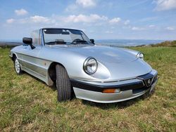Silber Gebraucht 1987 Alfa Romeo Spider Cabrio | 12.000 €