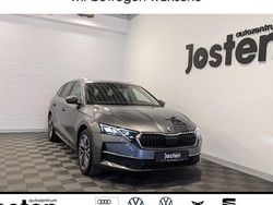 Grau Gebraucht 2024 Skoda Octavia Exclusive Kombi | 31.990 € (Guter Preis)
