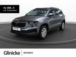 Grau Neu 2026 Skoda Karoq Selection SUV | 37.326 € (Teuer)