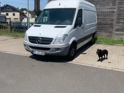 Weiß Gebraucht 2012 Mercedes Sprinter Van | 9.550 €