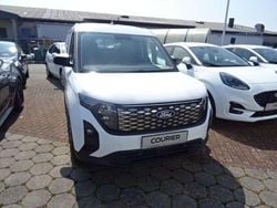 Frostweiß Neu 2025 Ford Transit Trend Van / Kleinbus | 29.990 € (Superpreis)