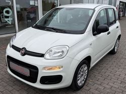 Weiß Gebraucht 2020 Fiat Panda Easy Kleinwagen | 7.990 € (Fairer Preis)