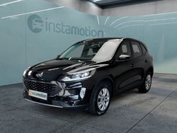 Schwarz Gebraucht 2024 Ford Kuga Cool & Connect SUV | 25.000 € (Guter Preis)