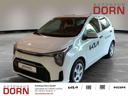 Weiß Neu 2025 Kia Picanto Edition 7 Kleinwagen | 16.990 € (Fairer Preis)