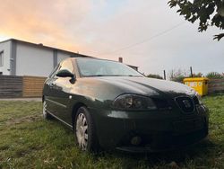 Grün Gebraucht 2009 Seat Ibiza Kleinwagen | 700 € (Superpreis)