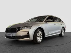 Grau Gebraucht 2025 Skoda Octavia Selection Kombi | 30.790 € (Superpreis)