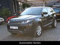 Schwarz Gebraucht 2019 Land Rover Range Rover evoque SUV | 16.790 € (Fairer Preis)