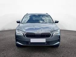 Grau Neu 2025 Skoda Octavia Essence Kombi | 29.943 € (Superpreis)