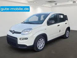 Weiß Neu 2024 Fiat Panda Kleinwagen | 14.990 €