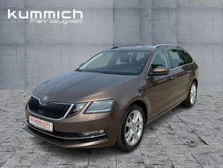 Braun Gebraucht 2018 Skoda Octavia Style Kombi | 16.490 € (Etwas zu teuer)