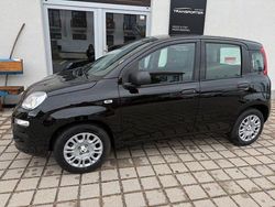 Schwarz Neu 2025 Fiat Panda Limousine | 13.490 € (Guter Preis)