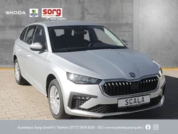 Silber Neu 2025 Skoda Scala Essence Kleinwagen | 25.730 € (Teuer)