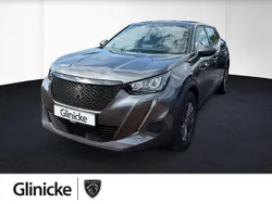 Platinumgrau metallic Gebraucht 2020 Peugeot 2008 Active SUV | 15.690 € (Etwas zu teuer)