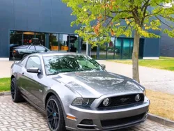 Grau Gebraucht 2013 Ford Mustang Premium Coupé | 36.500 €