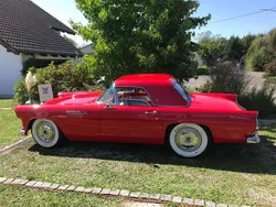 Rot Gebraucht 1955 Ford Thunderbird Cabrio | 34.500 €