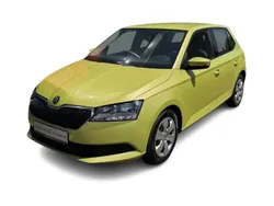 Grün Gebraucht 2021 Skoda Fabia Cool Plus Kleinwagen | 11.989 € (Superpreis)