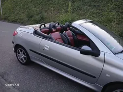 Grau Gebraucht 2002 Peugeot 206 Cabrio | 2.600 € (Teuer)