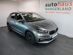 Grau Neu 2025 Skoda Fabia Kleinwagen | 19.890 € (Etwas zu teuer)