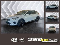 (wd) cararraweiss Gebraucht 2022 Kia XCeed Vision SUV | 18.190 € (Superpreis)