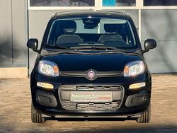 Schwarz Neu 2025 Fiat Panda Limousine | 13.799 € (Fairer Preis)