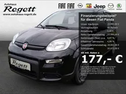 Schwarz Neu 2024 Fiat Panda Kleinwagen | 15.990 €