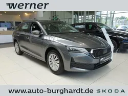 Graphitegrau Gebraucht 2025 Skoda Octavia Essence Kombi | 27.890 € (Fairer Preis)